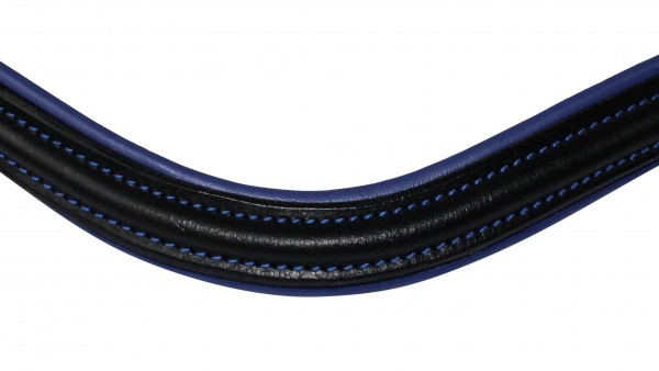 Stirnriemen blau unterlegt1.jpg